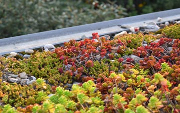 the cost of Glenarm green roof installation