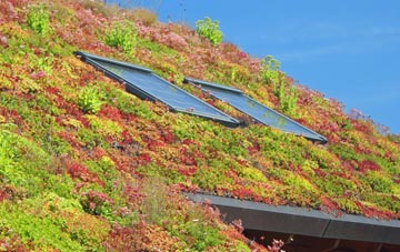 Glenarm living roof systems