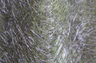 Glenarm fibreglass roof work